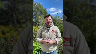 Dublin Zoo - Endangered Species Day