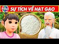 SỰ TÍCH VỀ HẠT GẠO - SỰ TÍCH VIỆT NAM MỚI NHẤT 2023 ▶️ CỔ TÍCH VIỆT NAM MỚI NHẤT 2023 | THVL