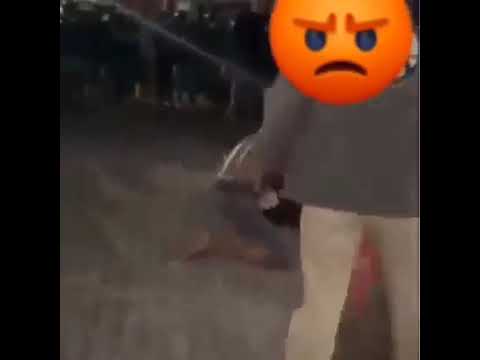 Tarung Bebas Di Makassar