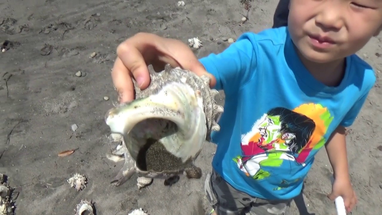 Metal detecting Japan. Treasure on the beach YouTube