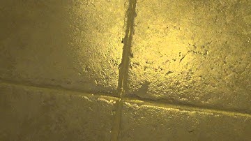 PolyBlend Grout Renew: How to Renew The Grout in Your Bathroom Tiles #3