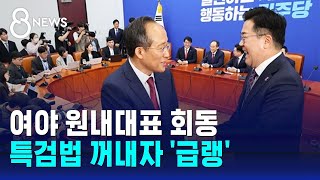 여야 원내대표 회동 시작은 훈훈…특검법 꺼내자 '급랭' / SBS 8뉴스