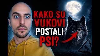 Kako Je Praistorijski ovjek Pripitomio Vuka I Stvorio Psa 