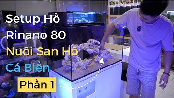 [Part 1] Hướng dẫn set-up hồ Rinano 80 Basic Nuôi San Hô Cá Biển: Lắp Đặt Setup - Cát, Đá Layout