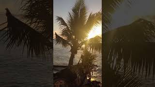 Why 'Love Is a Battlefield' Misleads #substack #shorts