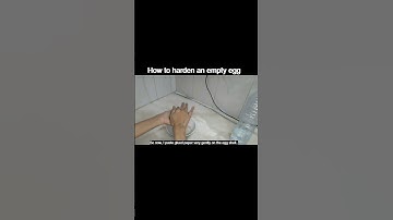 How to harden an empty egg shell, #shorts, #shortsfeed, #youtubeshorts, #ytshorts, #shortvideo