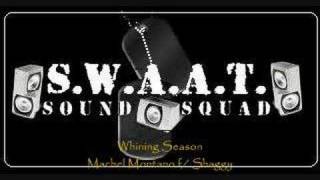 Machel Montano & Shaggy - Whining Season (remix)