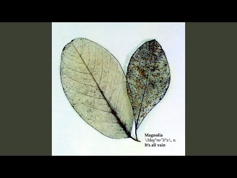 Magnolia — It’s All Vain (Ian Knowles Remix)
