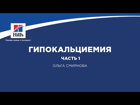 Видео: Как скоро появляется беременная собака?