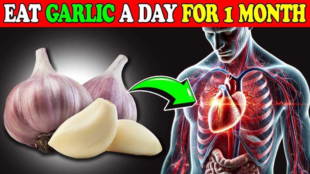 EAT GARLIC A Day For 1 Month, See What Happens To Your Body? Golden EAT GARLIC A Day For 1 Month, See What Happens To Your Body? Golden