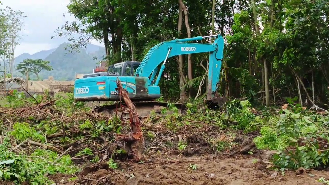 Excavator membuka lahan 