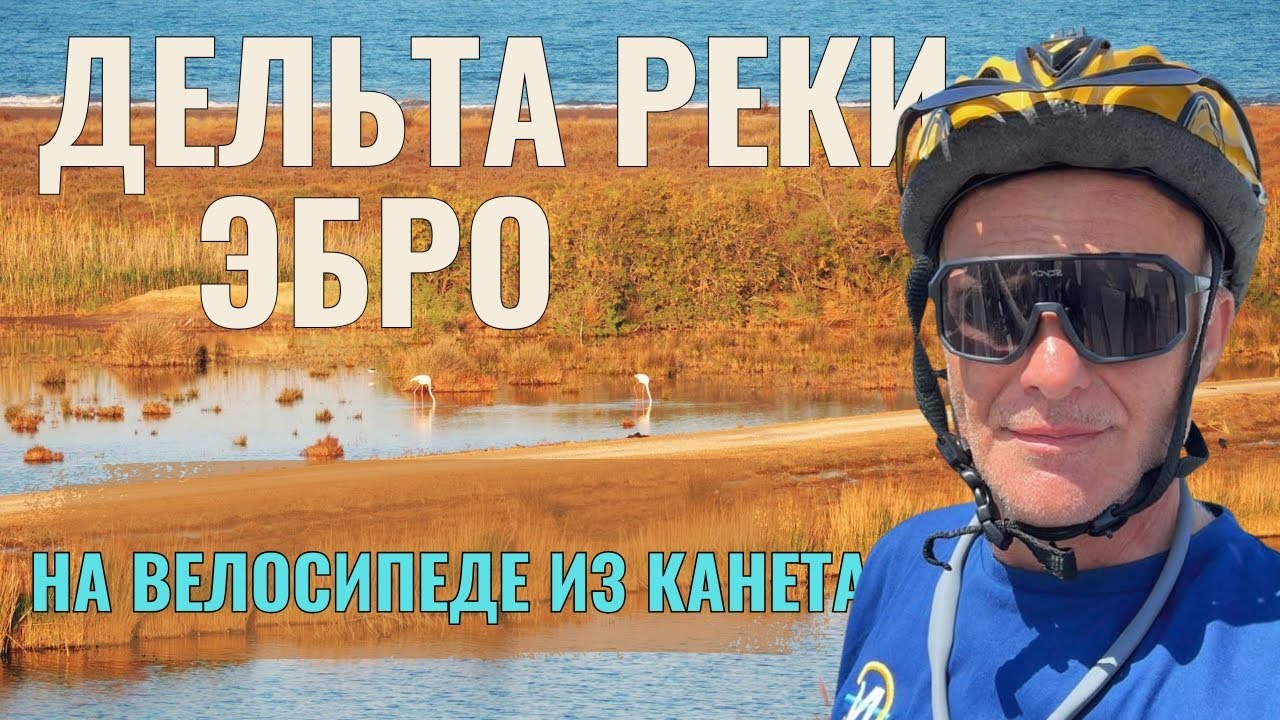 Природный парк Дельта дель Эбро | Здесь самая полноводная река в Испании впадает в Средиземное море