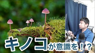 「キノコ」は意識を持つのか？ネットワークと意識【AIと遊ぼう! AIRS-Lab #066】 #airslab