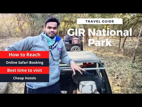 Gir National Park Travel Guide | How to reach, Safari Booking Online, Hotels, Best Time to Visit