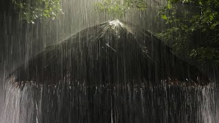 Sleep Instantly in Palm Tent Roof with Dense Heavy Rain \& Amazing Thunder in Foggy Forest at Night