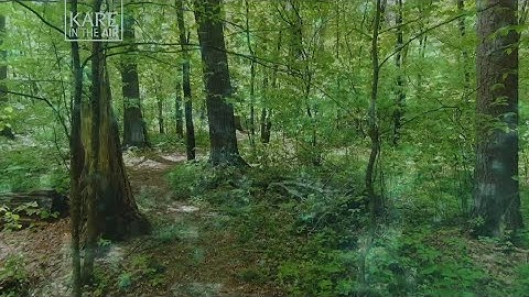 How AI is lending a hand with battle against carbon emissions