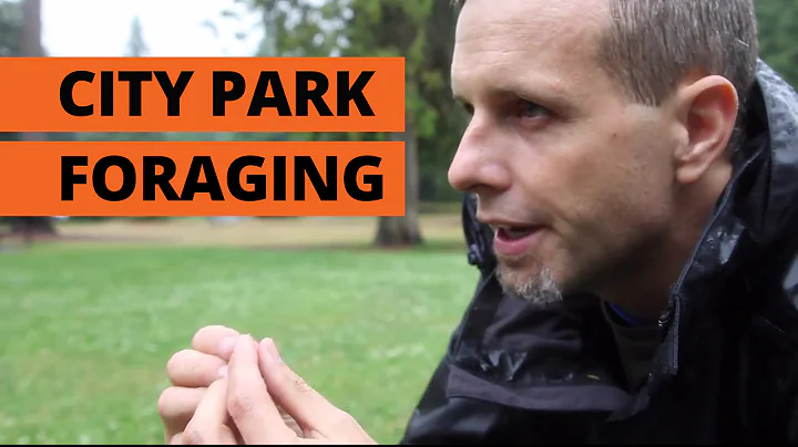 How to forage in a city park | Grist Test Kitchen