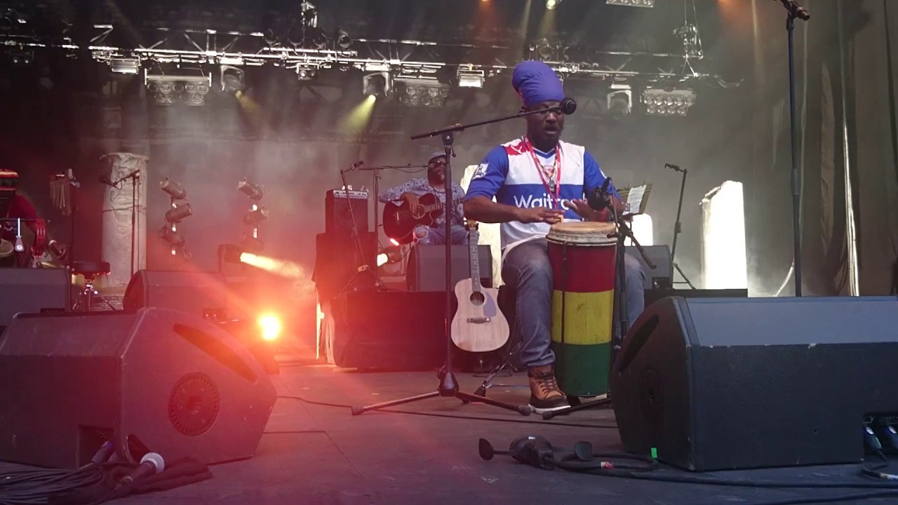 KUSH MCANUFF  Black to I roots