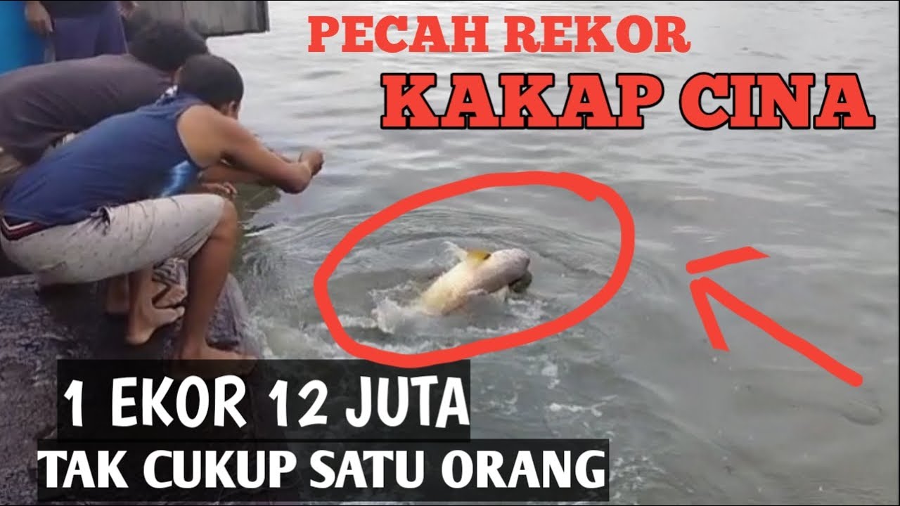 mancing ikan kakap