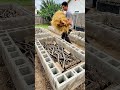 CREARON UN HUERTO EN CUESTIÓN DE HORAS #construction #diy #ingenieria #jardin