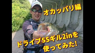 オカッパリ編　ドライブSSギル2inを使ってみた。