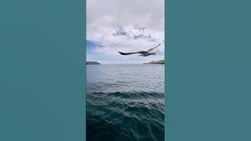 اللَّهُ الَّذِي خَلَقَ السَّمَاوَاتِ وَالْأَرْضَ سورة إبراهيم