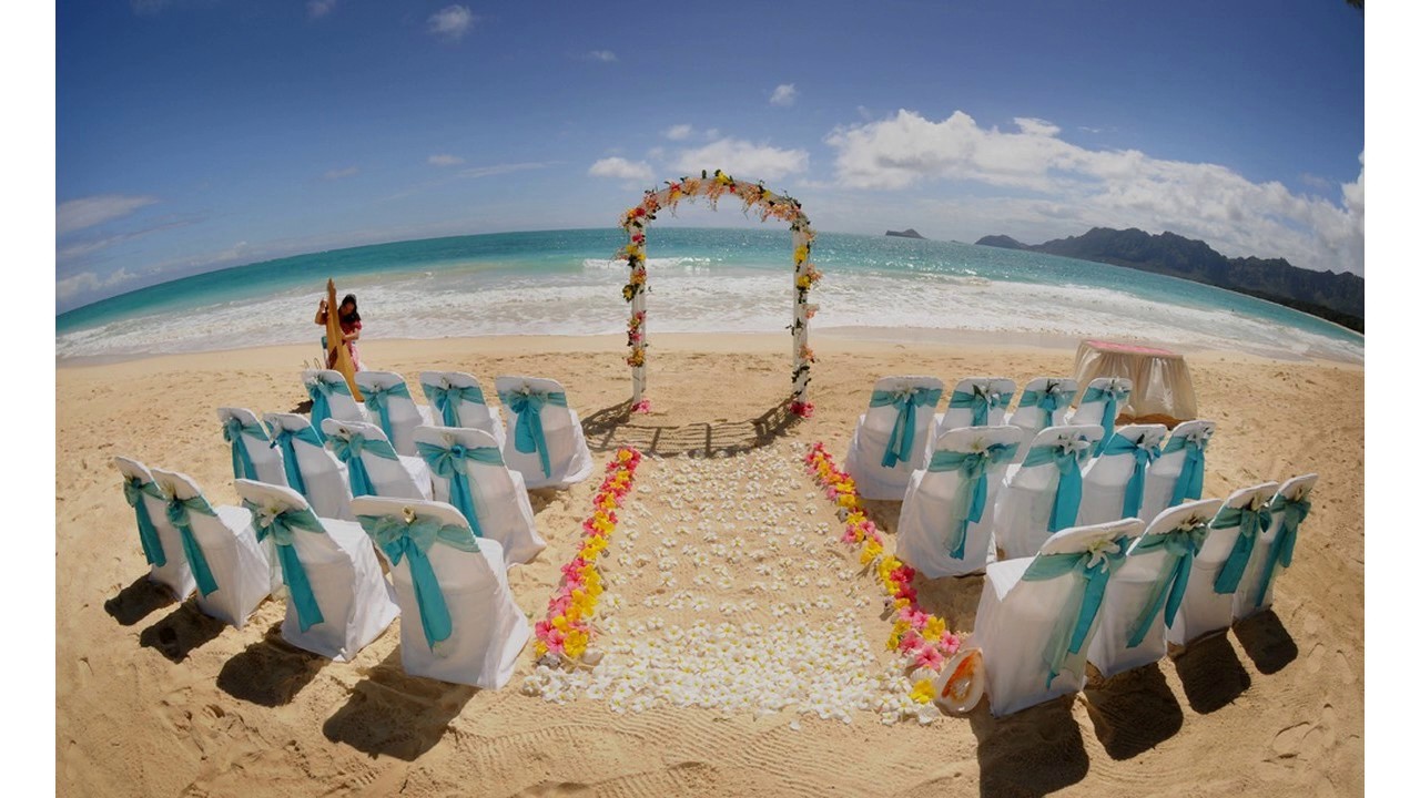 camera iphone 8 plus apk Ideas de la decoración del arco de la boda