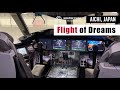 Boeing 787 at Flight of Dreams | Aichi, Japan