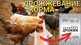 Кормовые дрожжи для кур | несушек | бройлеров / Дрожжевание комбикорма, белок, аминокислоты