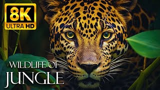 THE GREATEST ANIMALS 8K ULTRA HD with Forest Sounds - Jungle Wildlife In 8K