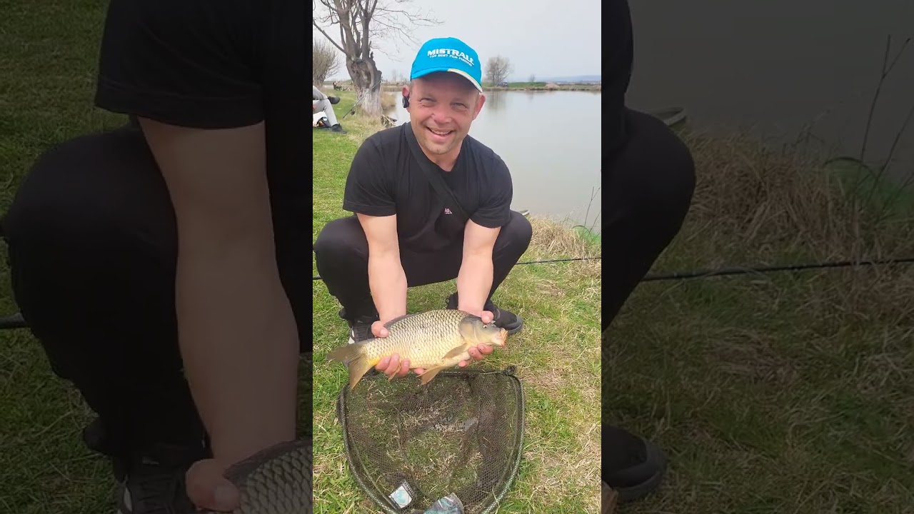 Прекрасен неделн излез се получи  40риби шарани и един амур. Село Доганово  Венци 0893667743.