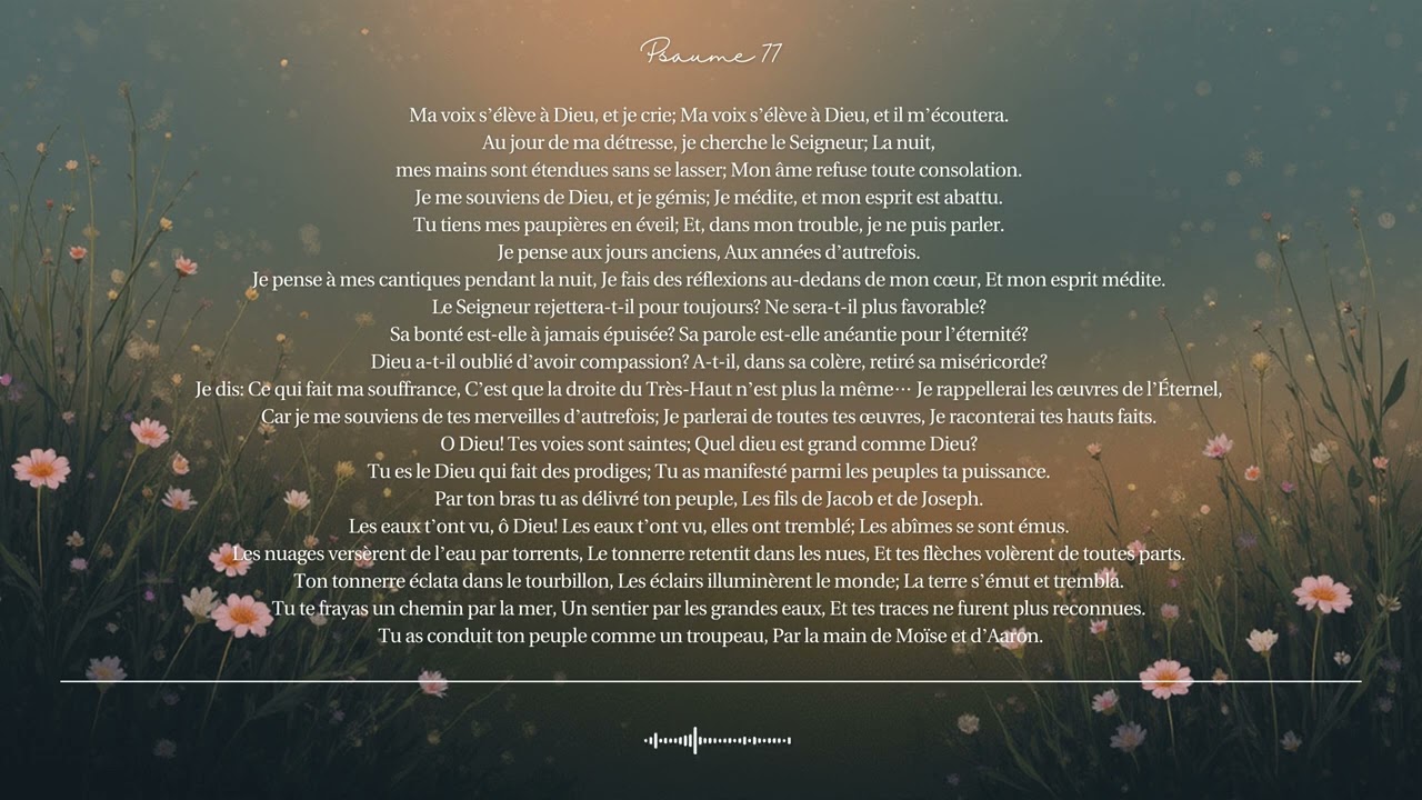 🌿 Psaume 77 | Le Seigneur Qui Nous Guide | Chant biblique CCM · Shuli Bible