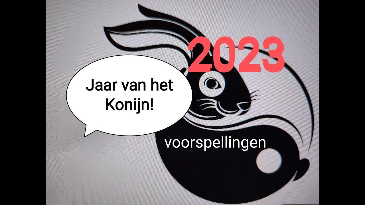 Jaar van het KONIJN 2023 voorspellingen geld, liefde enz. en uitleg elementen YouTube Jaar van het KONIJN 2023 voorspellingen geld, liefde enz. en uitleg elementen YouTube