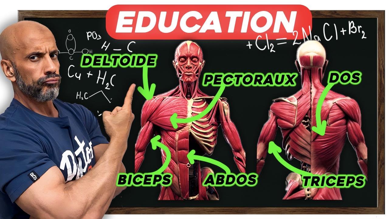 6 Exercices Universels Haut du corps de MASSE ! 💪🏼🔥