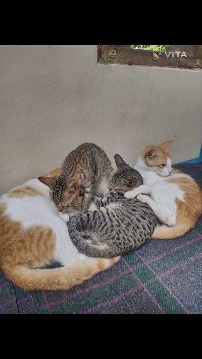 நினைவுகள்