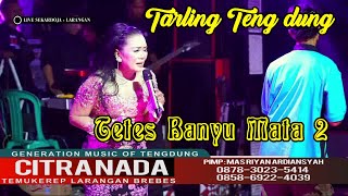 TETES BANYU MATA 2 - TARLING TENGDUNG || CITRA NADA LIVE DS.SEKARDOJA - LARANGAN - BREBES