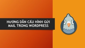 Hướng dẫn cấu hình SMTP Gmail WordPress để gửi mail | configure SMTP Gmail WordPress