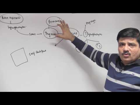 #15 - Thymus - Chemical Coordination & Integration - Dr. NK Sharma - #15 - Thymus - Chemical Coordination & Integration - Dr. NK Sharma