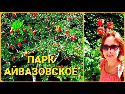 КРЫМ#28 Парк Айвазовское в Партените. Экскурсия с гидом.