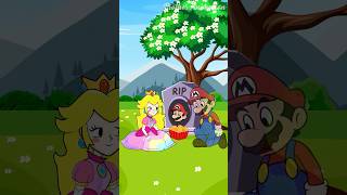 Pov Mario Peachs Eternal Reunion A Touching Story supermario mario