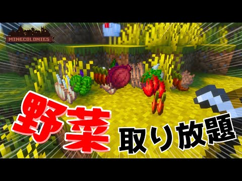 【マイクラMOD】Minecraft, But 野菜がバンバン採れる🍅PART4【マインコロニー】