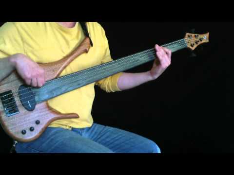 access-fretless-bass-by-bee-basses