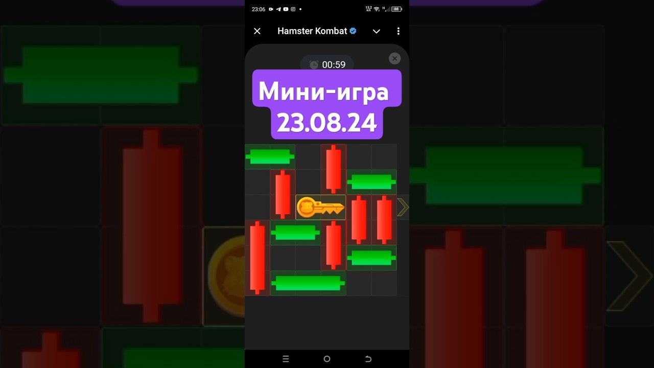 Мини-игра #35 🔑 23.08.24 Hamster Combat 🐹
