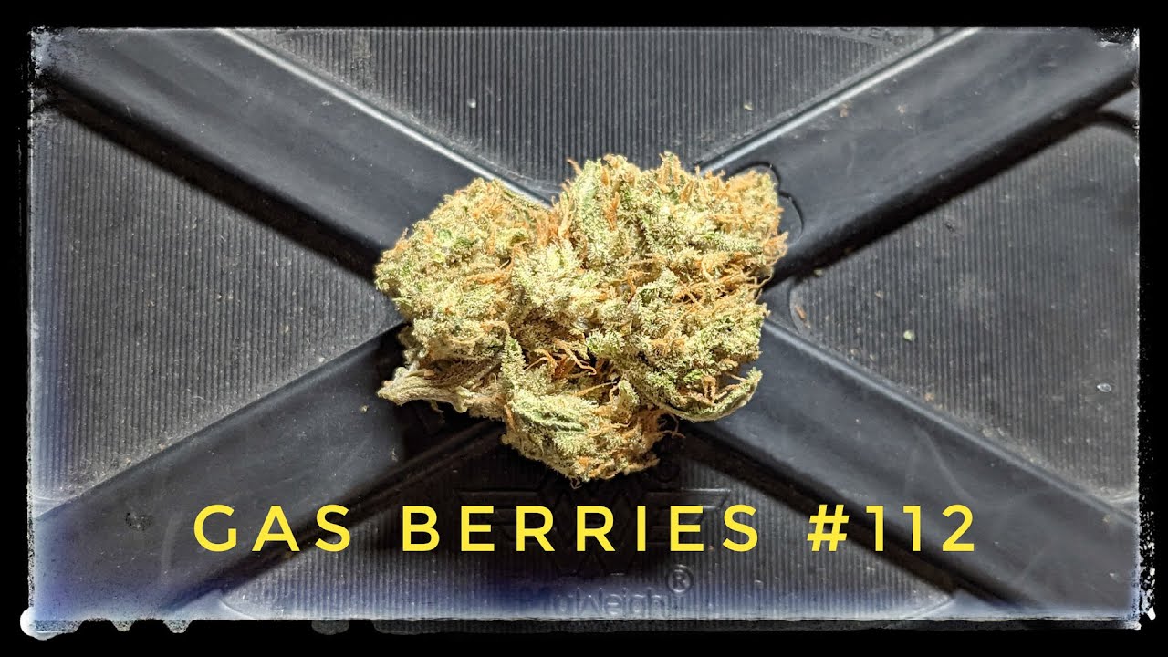 Strain Review - Gas Berries 