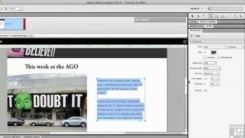 Flash Catalyst CS5.5 - Use Drawing Tools for Interface Creation