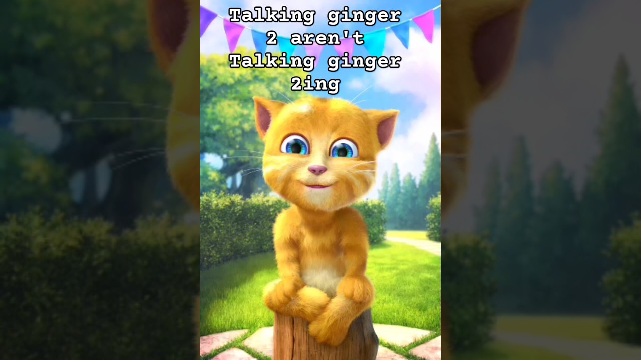 Talking Ginger 2's Weirdest Glitch