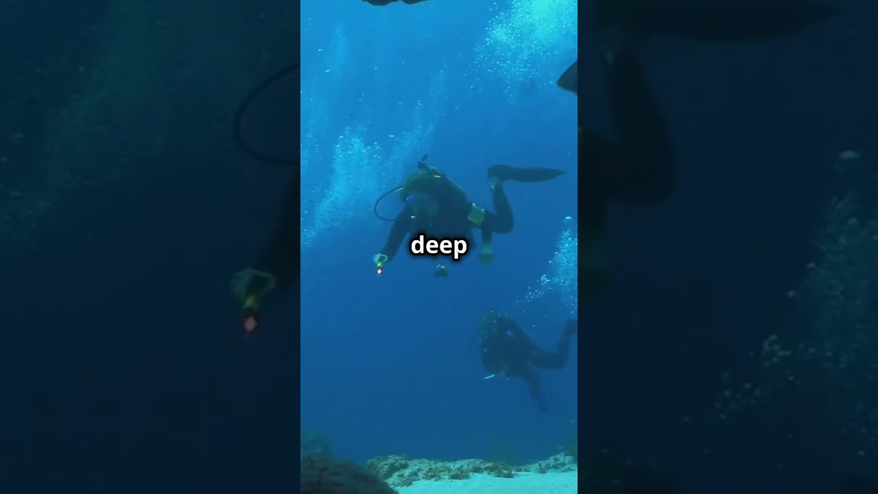 Belize: Where Jungle Meets Sea