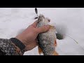 Зимняя рыбалка - ловля плотвы на мотыля! Март 2021!