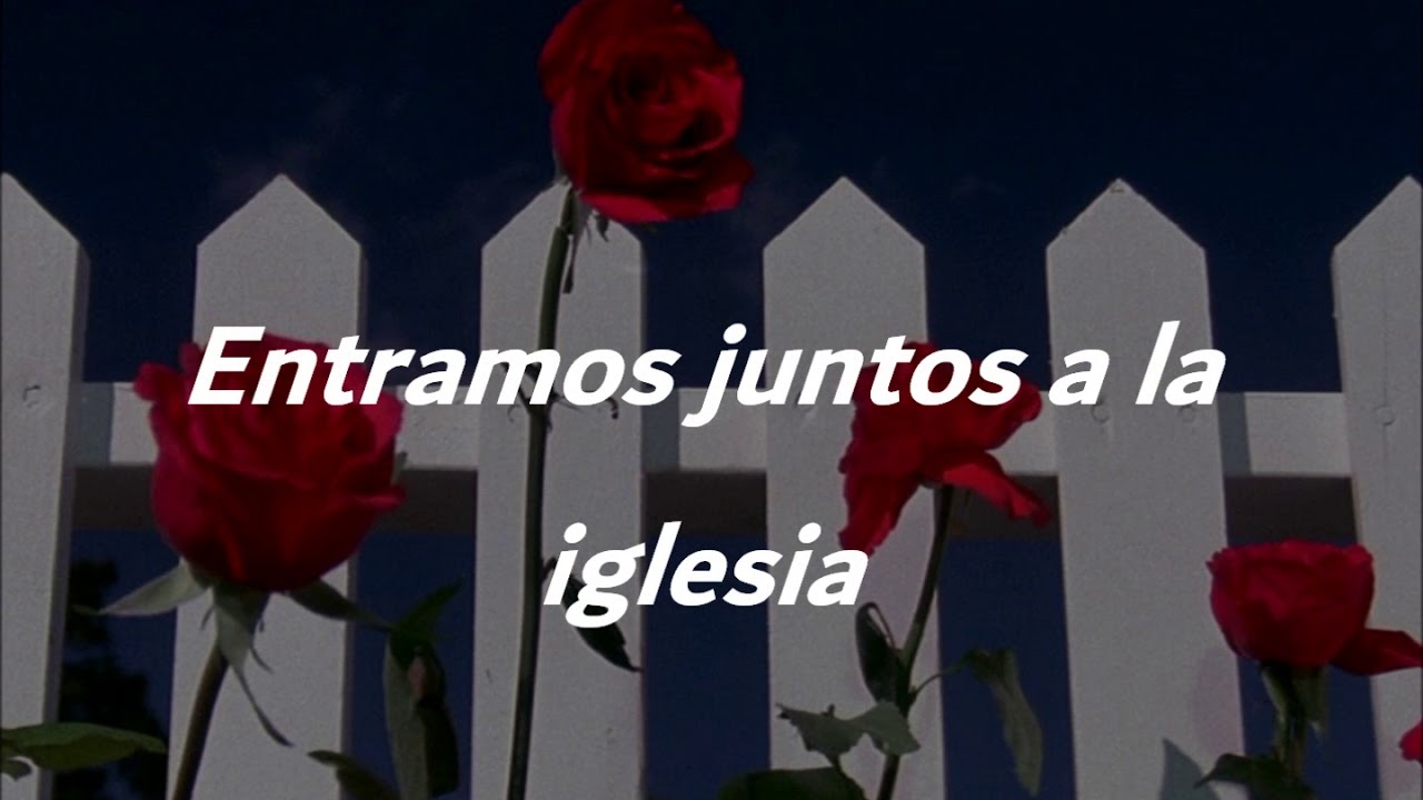 Obejrzyj Leo Dan - Celia // Letra. w YouTube Obejrzyj Leo Dan - Celia // Letra. w YouTube