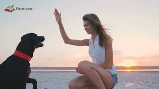 FAI QUESTI GIOCHI con il tuo cane: ecco come renderlo più calmo e rilassato screenshot 2